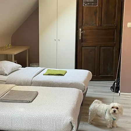 Kolysanka Private In Old Town * Poznan