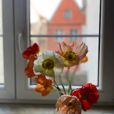 Kolysanka Private In Old Town Homestay Poznan