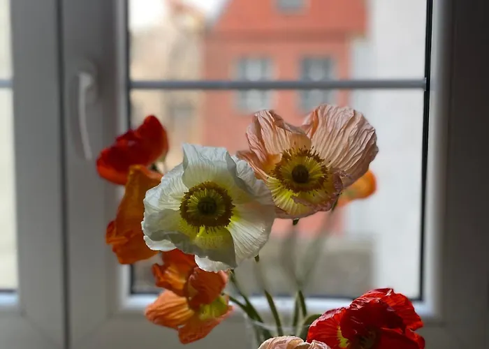 Kolysanka Private In Old Town Homestay Poznan