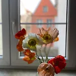 Kolysanka Private In Old Town Accommodatie bij particulieren Poznań
